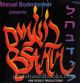 31956 Shmuel Bodenheimer "Lehavdil" [Audio CD]